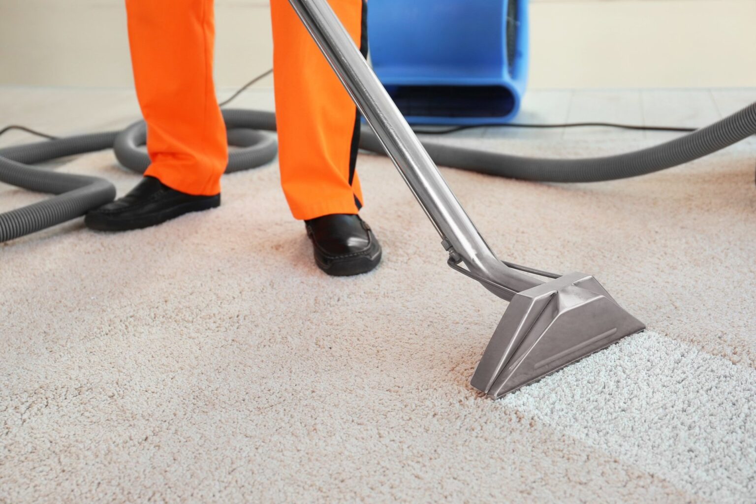 <strong>3 Reasons You Should Start Hiring Professional Carpet Cleaning Services</strong>